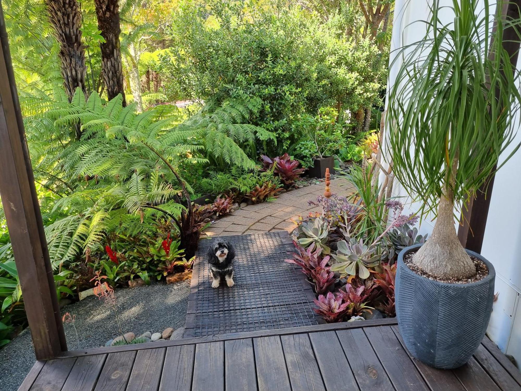 Coromandel Eco Sanctuary Villa Exterior photo